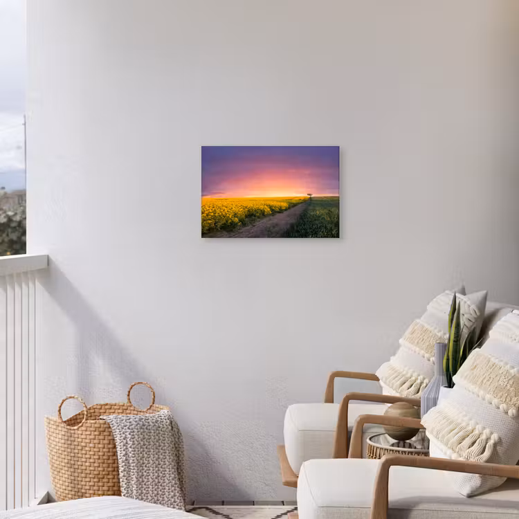 Bloemen - Weg - Lucht - Geel - Paars - Zonsondergang - Natuur Tuinposter op houten frame 2 cm dik klein -sfeer1