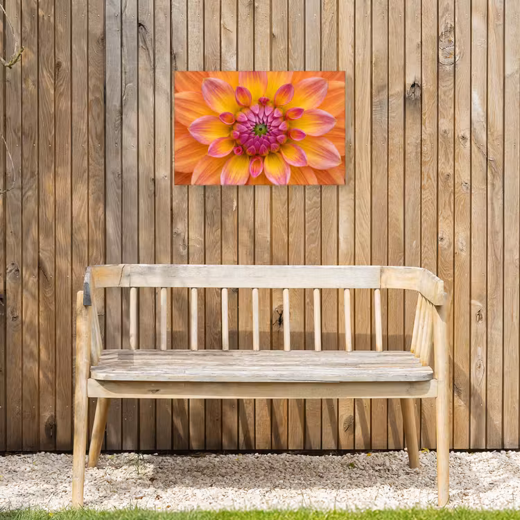 Dahlia - Bloem - Oranje Tuinposter op houten frame 2 cm dik klein -sfeer4