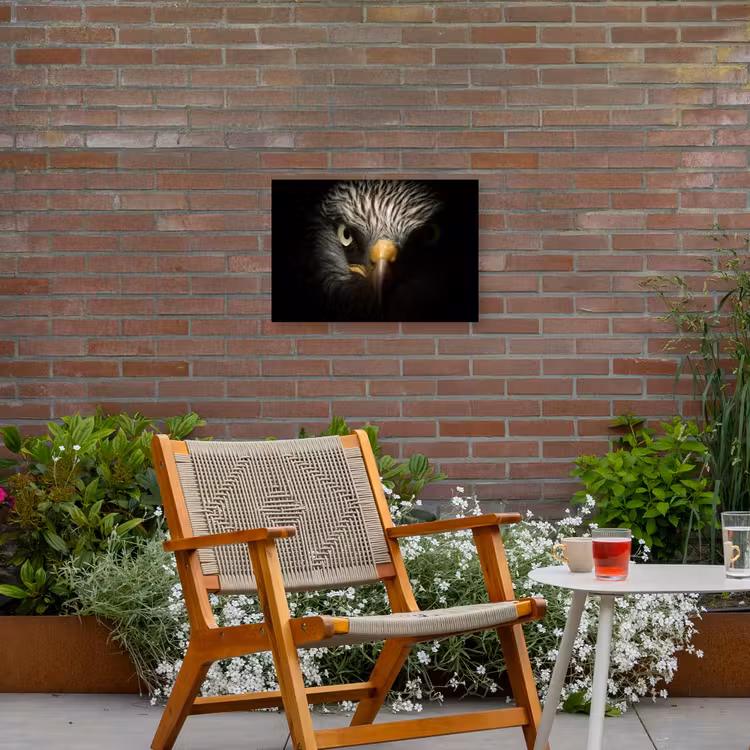 Indringende blik van een arend Tuinposter op houten frame 2 cm dik klein -sfeer3
