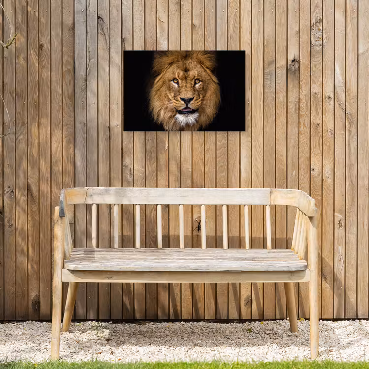 Indrukwekkend portret van een leeuw Tuinposter op houten frame 2 cm dik klein -sfeer4