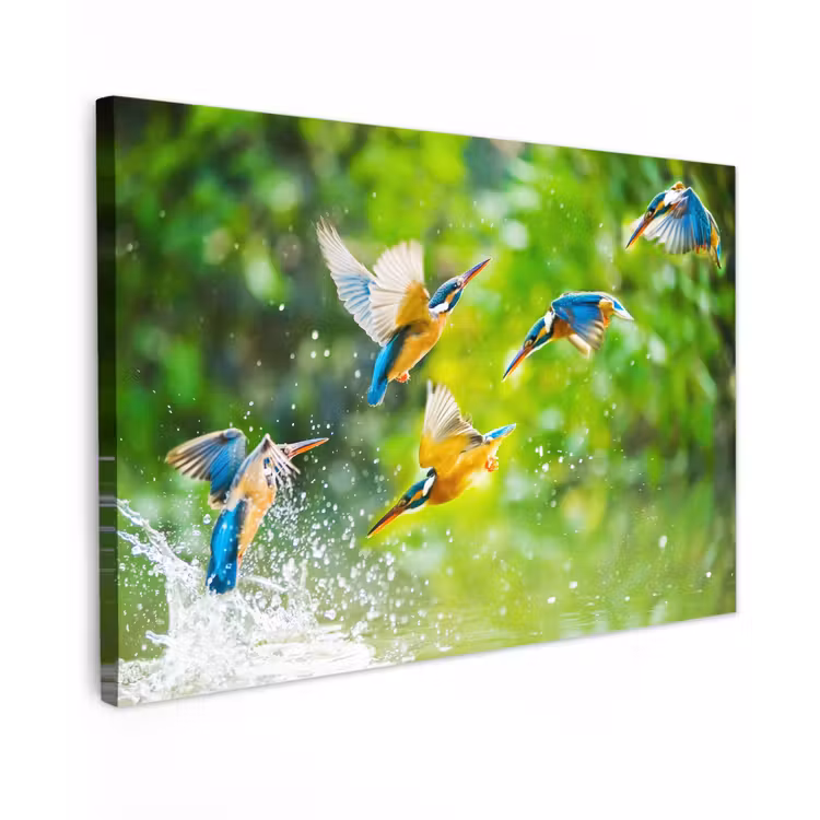 IJsvogels vliegen in het water Tuinposter op houten frame 2 cm dik klein -3d
