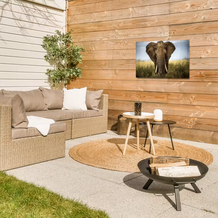 Olifant in de savanne Tuinposter op houten frame 2 cm dik klein -sfeer2