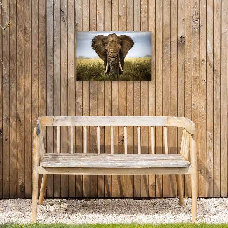 Olifant - Natuur - Gras - Dieren - Landschap Tuinposter op houten frame 2 cm dik klein -sfeer4