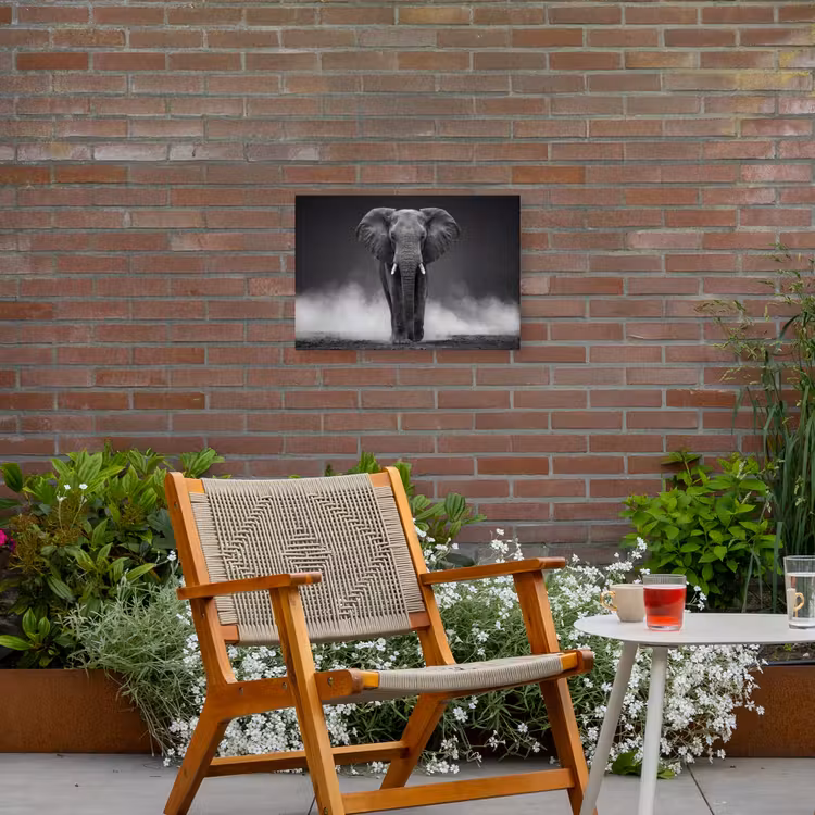 Olifant - Zwart - Wit - Rook Tuinposter op houten frame 2 cm dik klein -sfeer3