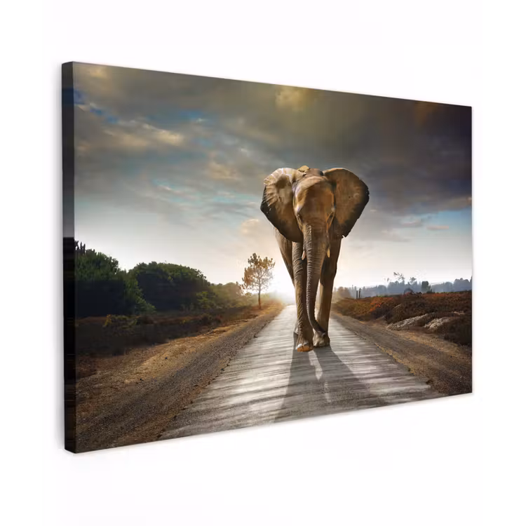 Olifant - Weg - Dieren - Zonsondergang - Landschap Tuinposter op houten frame 2 cm dik klein -3d