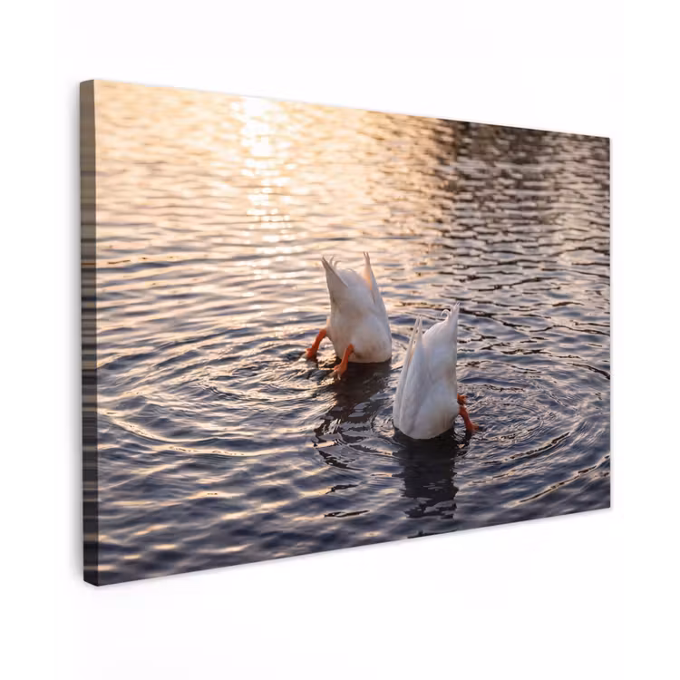 Eenden - Water - Natuur Tuinposter op houten frame 2 cm dik klein -3d