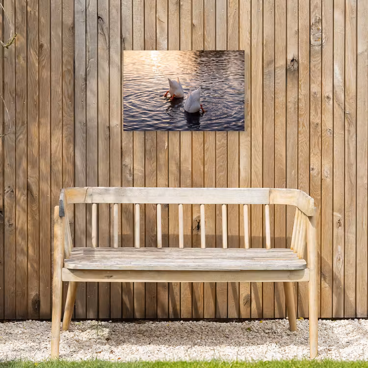Eenden - Water - Natuur Tuinposter op houten frame 2 cm dik klein -sfeer4