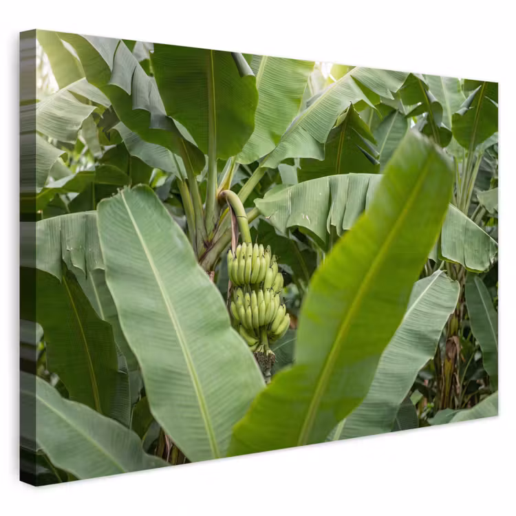 Eten - Bananen - Plantage - Groen Tuinposter op houten frame 2 cm dik klein -3d