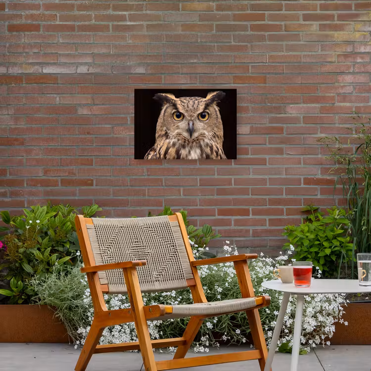 Oehoe - Uil - Portret - Bruin Tuinposter op houten frame 2 cm dik klein -sfeer3