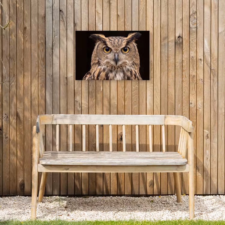 Oehoe - Uil - Portret - Bruin Tuinposter op houten frame 2 cm dik klein -sfeer4