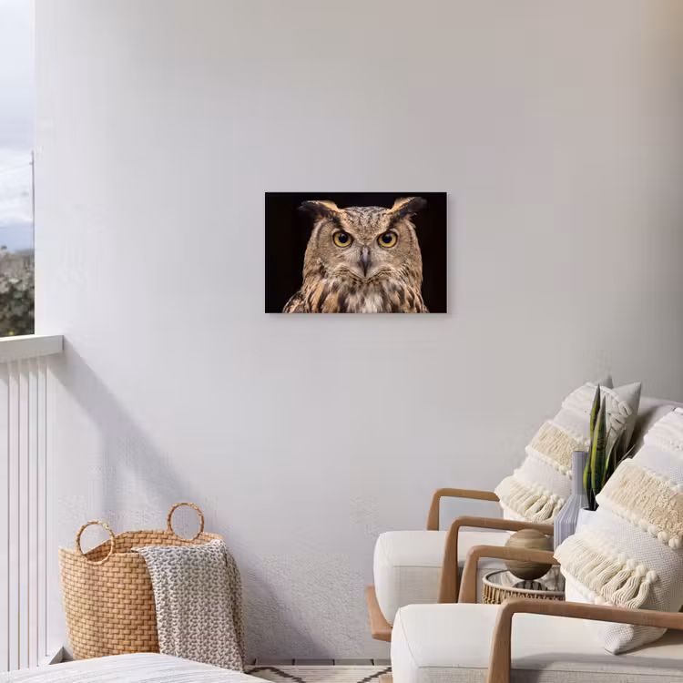 Oehoe - Uil - Portret - Bruin Tuinposter op houten frame 2 cm dik klein -sfeer1