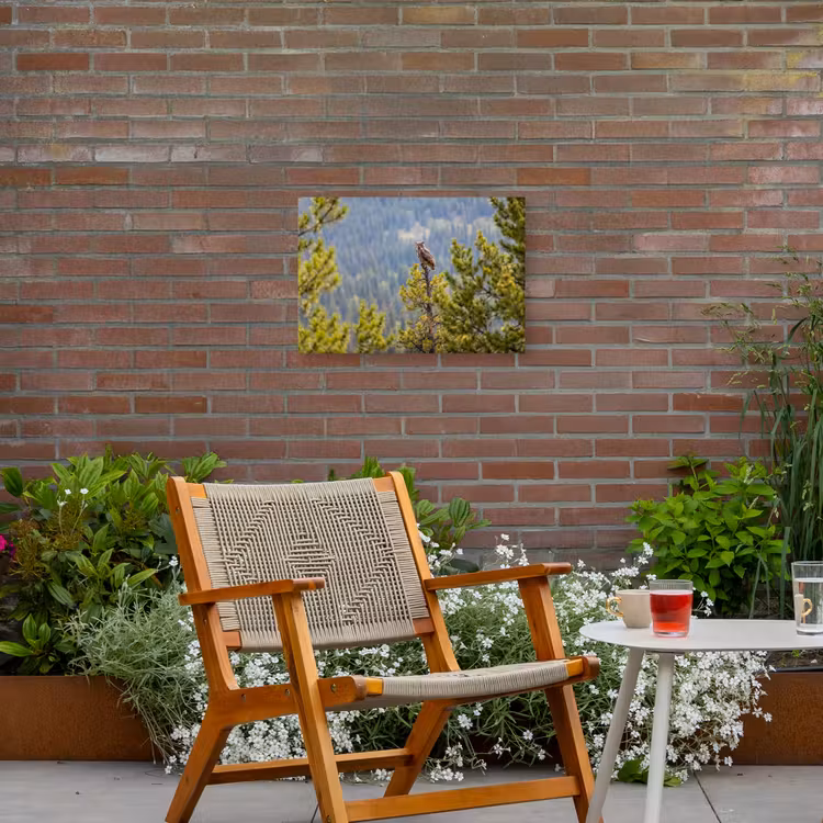 Uil - Oehoe - Bomen - Natuur Tuinposter op houten frame 2 cm dik klein -sfeer3