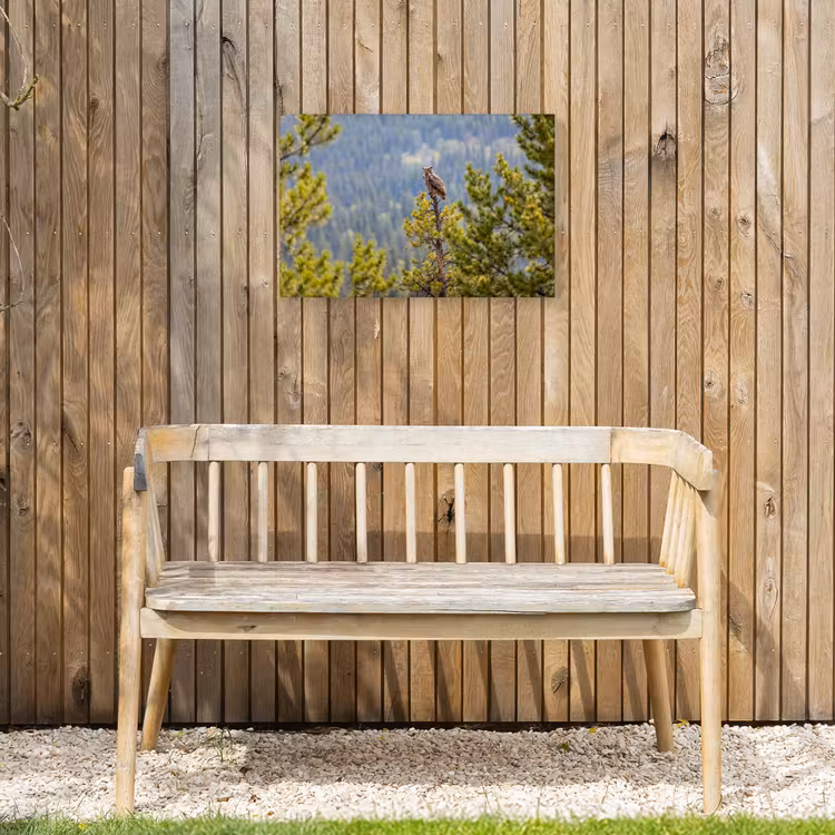 Uil - Oehoe - Bomen - Natuur Tuinposter op houten frame 2 cm dik klein -sfeer4