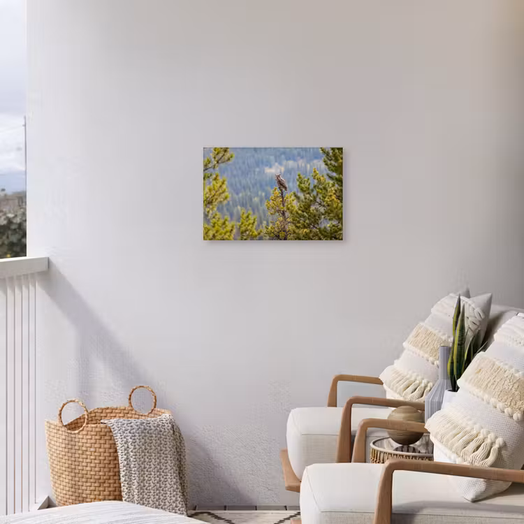 Uil - Oehoe - Bomen - Natuur Tuinposter op houten frame 2 cm dik klein -sfeer1