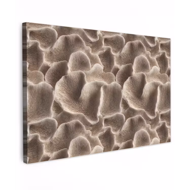 Waaiervorm - Beige - Vezel textuur Tuinposter op houten frame 2 cm dik klein 845 -3d