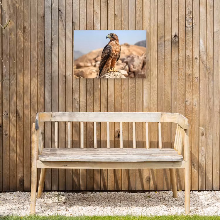 Valk - Vogel - Rots - Macht Tuinposter op houten frame 2 cm dik klein -sfeer4