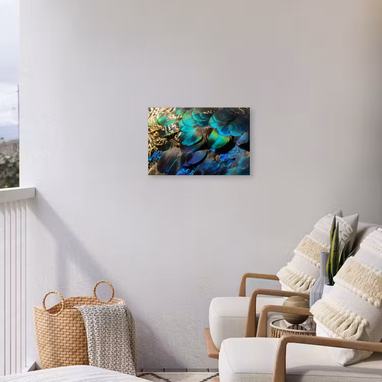 Veren - Pauwveren - Pauw - Blauw - Kunst Tuinposter op houten frame 2 cm dik klein -sfeer1