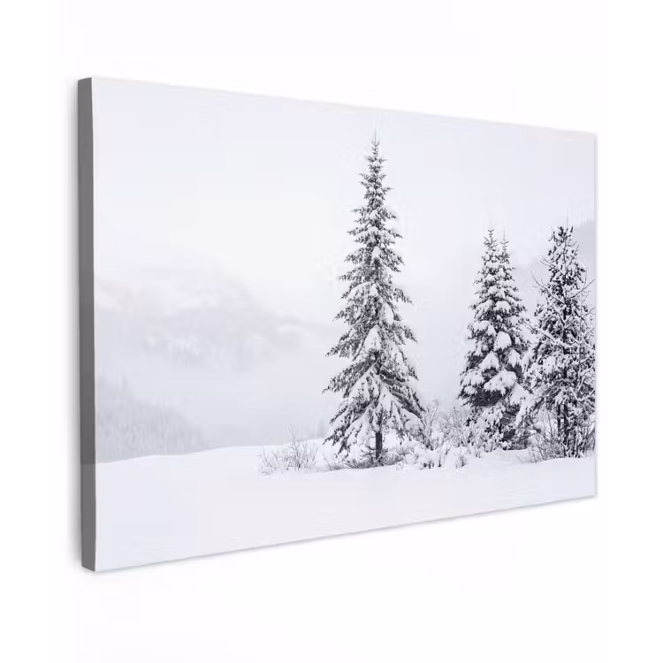 Fijnsparren - Sneeuw - Winter - Landschap - Stilte Tuinposter op houten frame 2 cm dik klein -3d