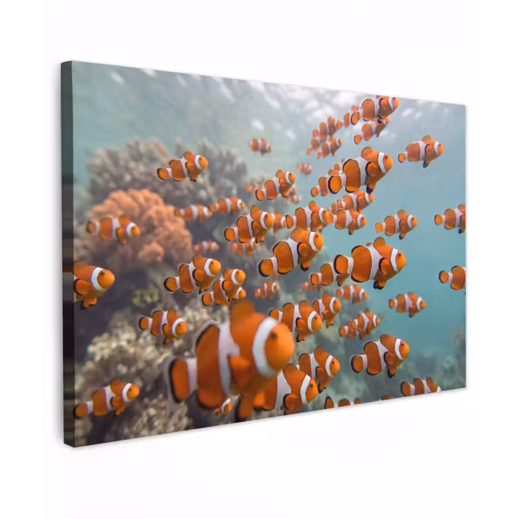 Vis - School - Onderwater - Dieren - Oranje Tuinposter op houten frame 2 cm dik klein -3d