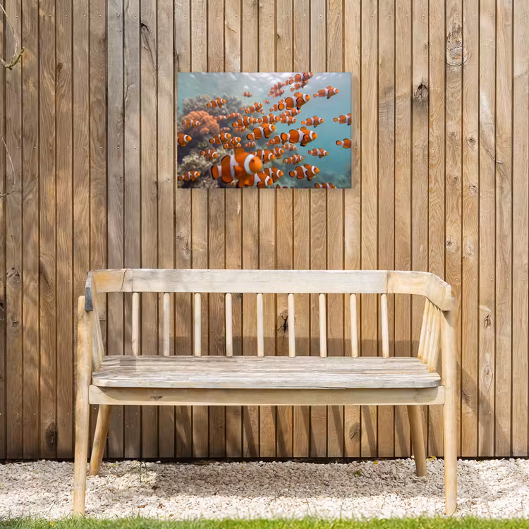 Vis - School - Onderwater - Dieren - Oranje Tuinposter op houten frame 2 cm dik klein -sfeer4