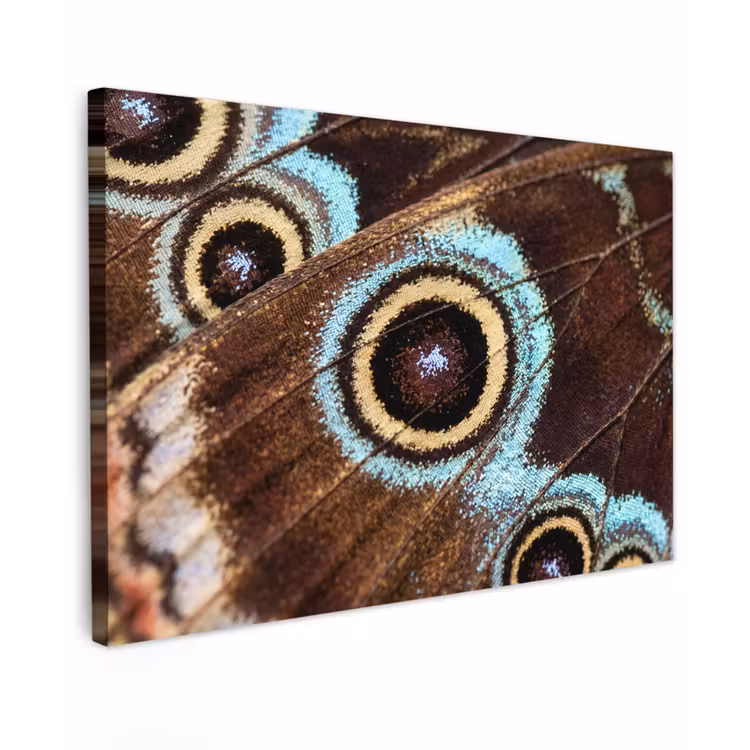 Vleugels - Vlinder - Blauw Tuinposter op houten frame 2 cm dik klein -3d