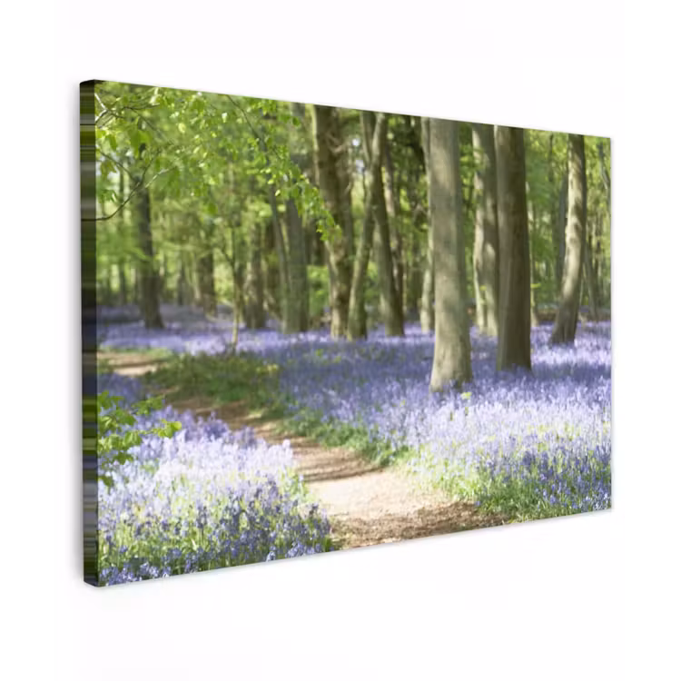 Lente bos met blauwe bloemen Tuinposter op houten frame 2 cm dik klein -3d
