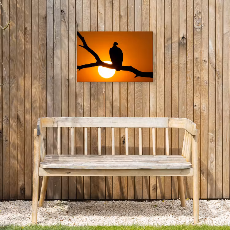 Gier - Tak - Zon - Oranje Tuinposter op houten frame 2 cm dik klein -sfeer4