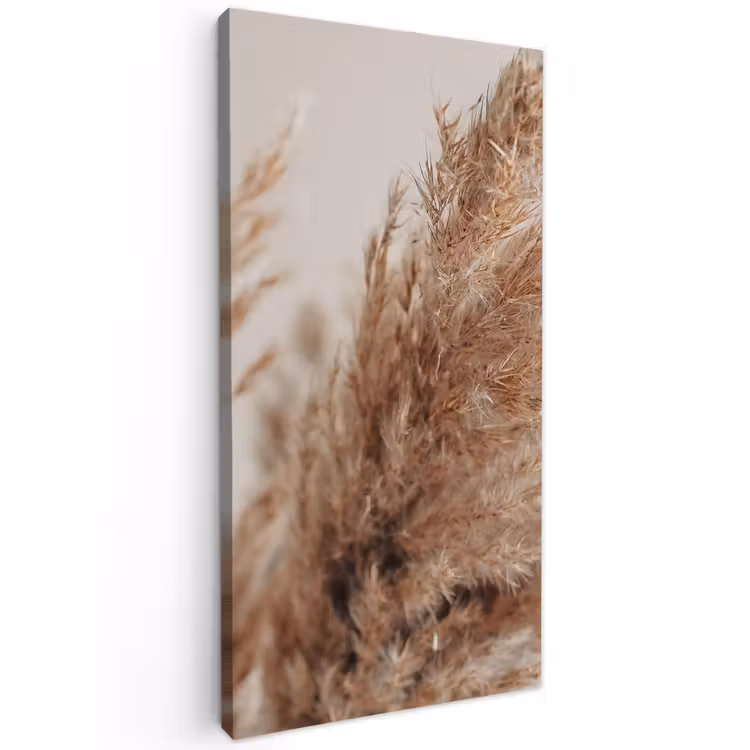 Gedroogd pampasgras dichtbij Tuinposter op houten frame 2 cm dik xxl -3d
