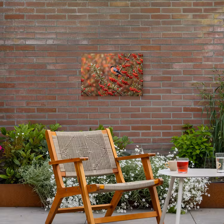 Goudvink - Bessen - Herfst - Natuur - Kleurrijk Tuinposter op houten frame 2 cm dik klein -sfeer3