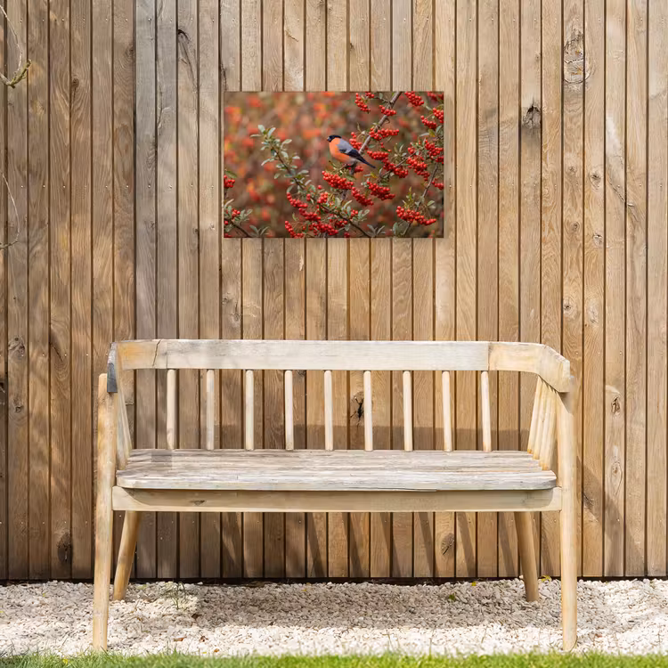 Goudvink - Bessen - Herfst - Natuur - Kleurrijk Tuinposter op houten frame 2 cm dik klein -sfeer4