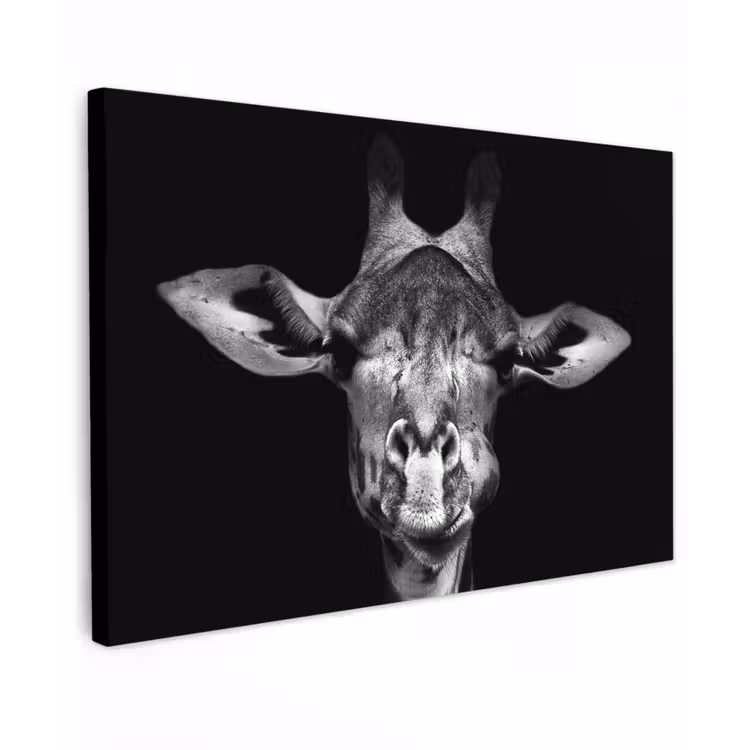 Giraffe - Portret - Dieren - Zwart - Wit Tuinposter op houten frame 2 cm dik klein -3d