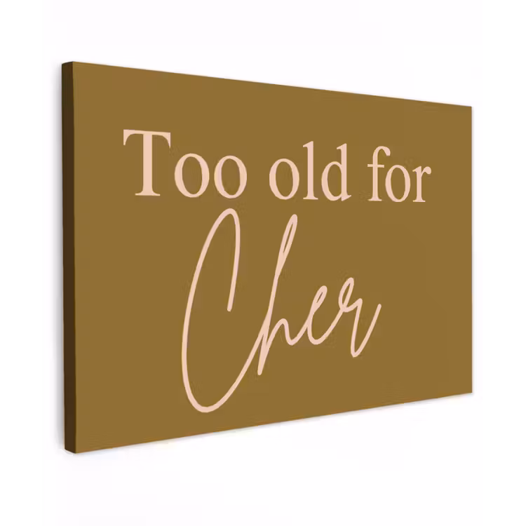 Groen - Too old for cher - Roze Tuinposter op houten frame 2 cm dik klein -3d