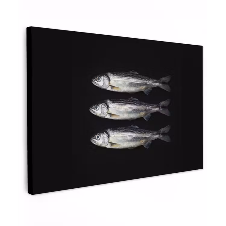 Haring - Vissen - Zwart Tuinposter op houten frame 2 cm dik klein -3d
