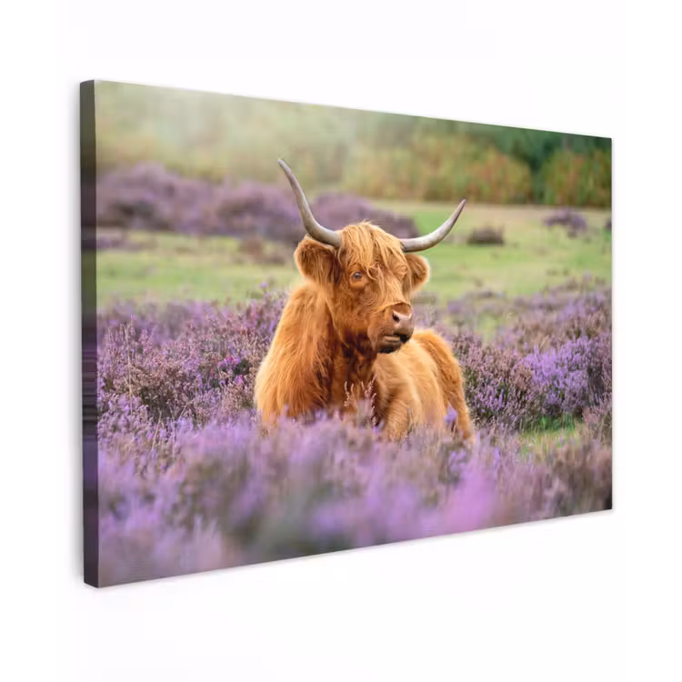 Hooglander in de Heide Tuinposter op houten frame 2 cm dik klein -3d
