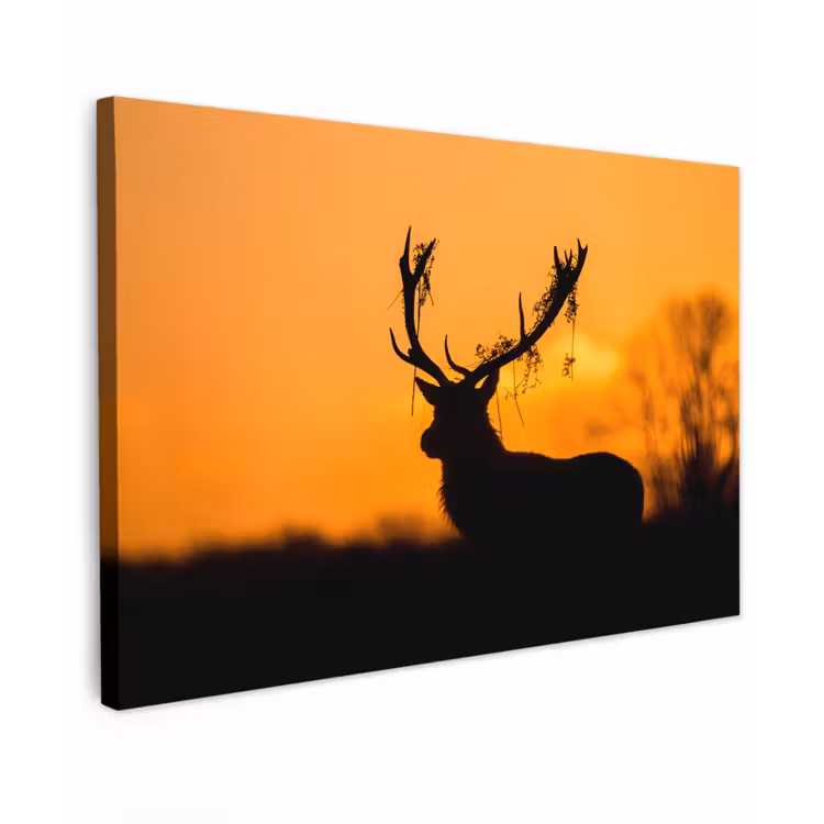Hert - Oranje - Silhouet - Dieren - Natuur Tuinposter op houten frame 2 cm dik klein -3d