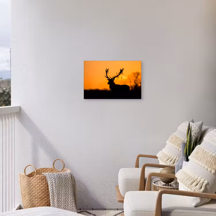 Hert - Oranje - Silhouet - Dieren - Natuur Tuinposter op houten frame 2 cm dik klein -sfeer1