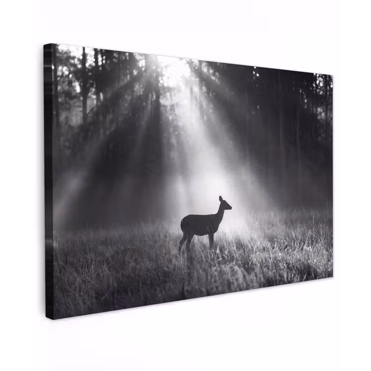 Hert - Bos - Zonnestralen - Zwart-wit - Natuur Tuinposter op houten frame 2 cm dik klein -3d