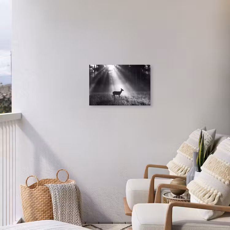 Hert - Bos - Zonnestralen - Zwart-wit - Natuur Tuinposter op houten frame 2 cm dik klein -sfeer1