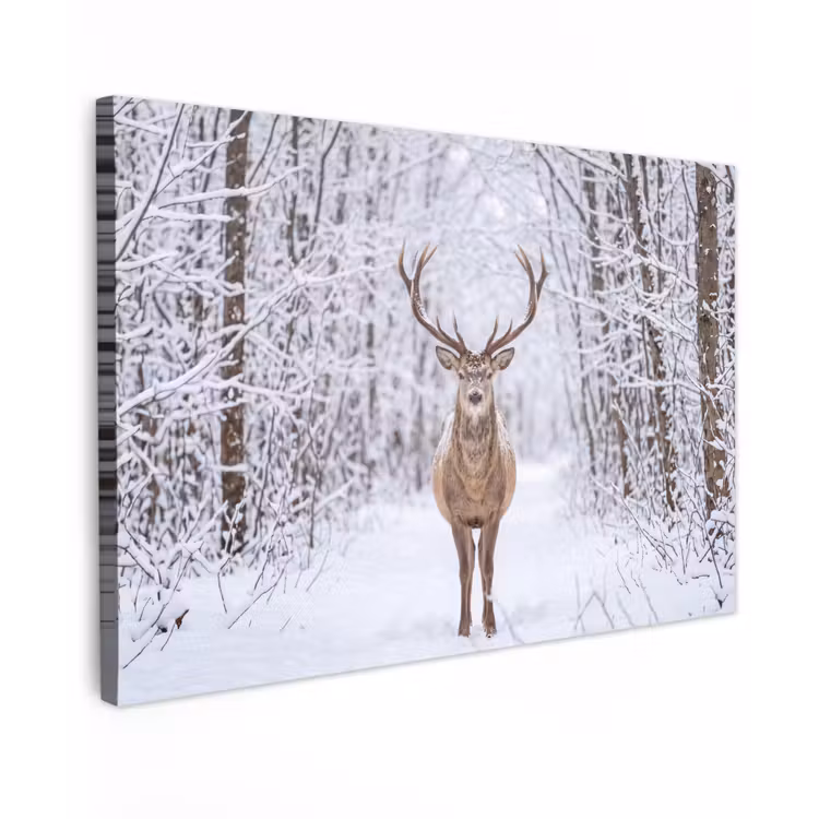 Hert - Winter - Bos - Natuur - Wit Tuinposter op houten frame 2 cm dik klein -3d