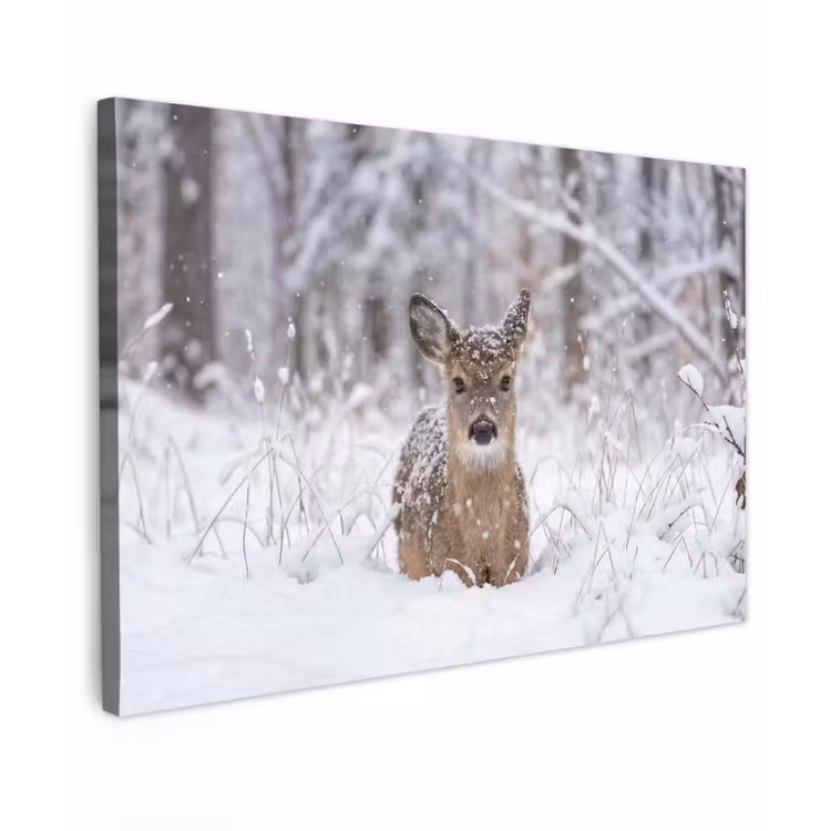 Hert - Sneeuw - Bos - Dieren - Vertederend Tuinposter op houten frame 2 cm dik klein -3d
