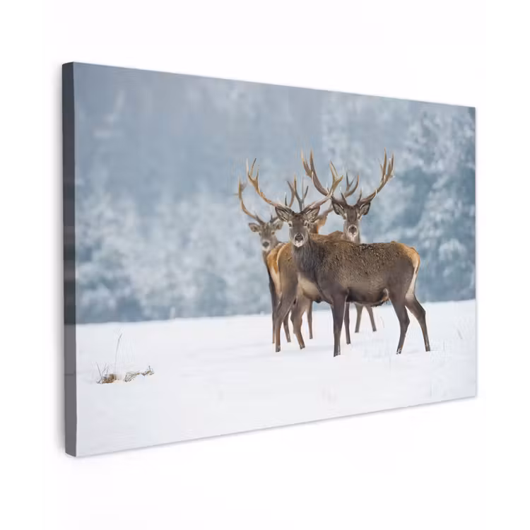 Hert - Dieren - Sneeuw - Winter - Landschap - Natuur Tuinposter op houten frame 2 cm dik klein -3d