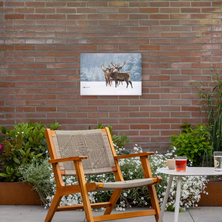 Hert - Dieren - Sneeuw - Winter - Landschap - Natuur Tuinposter op houten frame 2 cm dik klein -sfeer3
