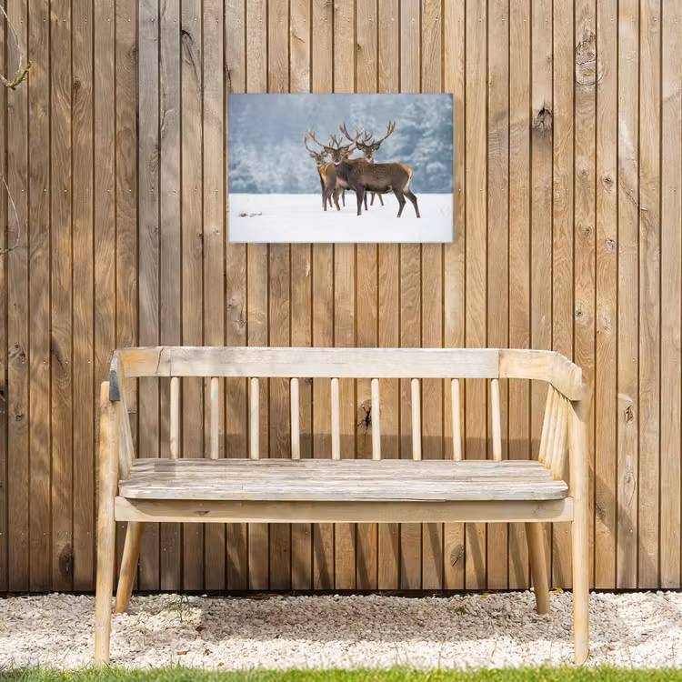 Hert - Dieren - Sneeuw - Winter - Landschap - Natuur Tuinposter op houten frame 2 cm dik klein -sfeer4