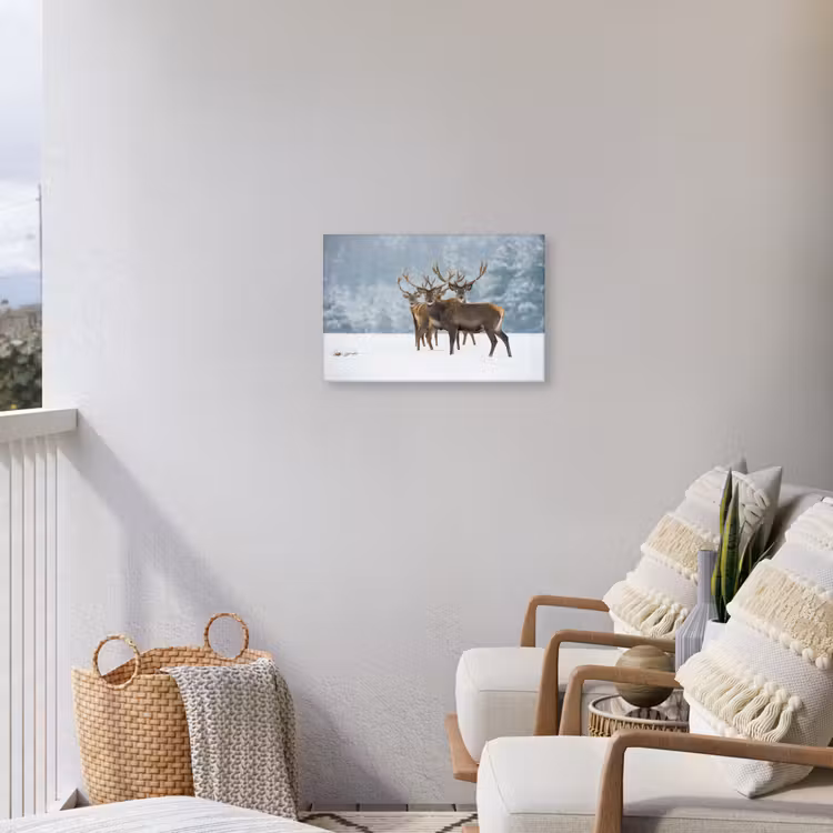 Hert - Dieren - Sneeuw - Winter - Landschap - Natuur Tuinposter op houten frame 2 cm dik klein -sfeer1