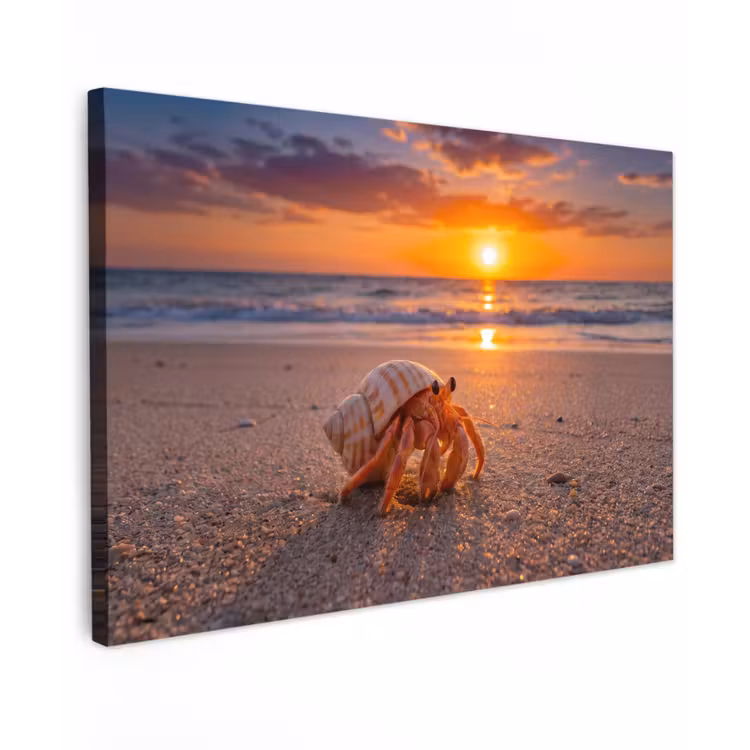 Kreeft - Strand - Natuur - Zonsondergang - Oranje Tuinposter op houten frame 2 cm dik klein -3d