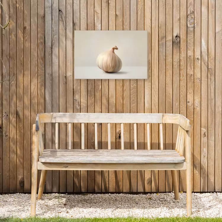 Knoflook - Natuurlijk - Beige Tuinposter op houten frame 2 cm dik klein -sfeer4
