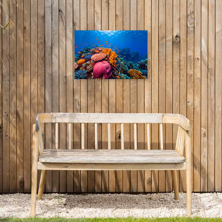 Koraal - Vissen - Oceaan - Natuur - Kleurrijk Tuinposter op houten frame 2 cm dik klein -sfeer4