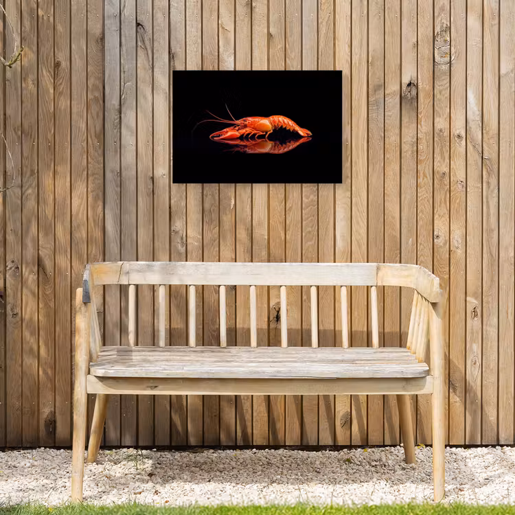 Kreeft - Oranje - Zwart - Opvallend Tuinposter op houten frame 2 cm dik klein -sfeer4