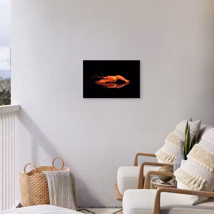 Kreeft - Oranje - Zwart - Opvallend Tuinposter op houten frame 2 cm dik klein -sfeer1