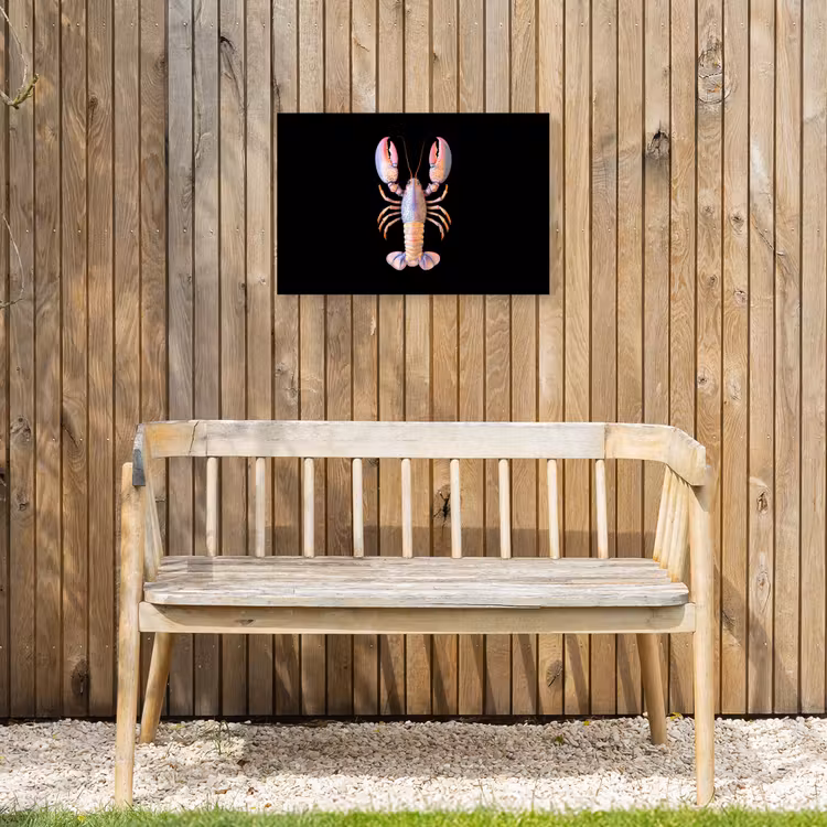 Kreeft - Roze - Zacht - Zwart Tuinposter op houten frame 2 cm dik klein -sfeer4